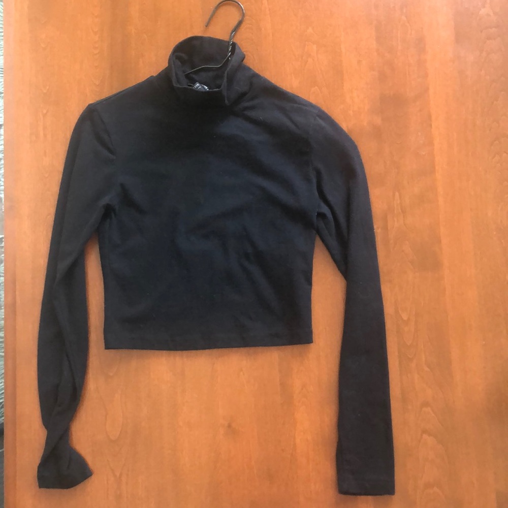 Crop Turtleneck Top